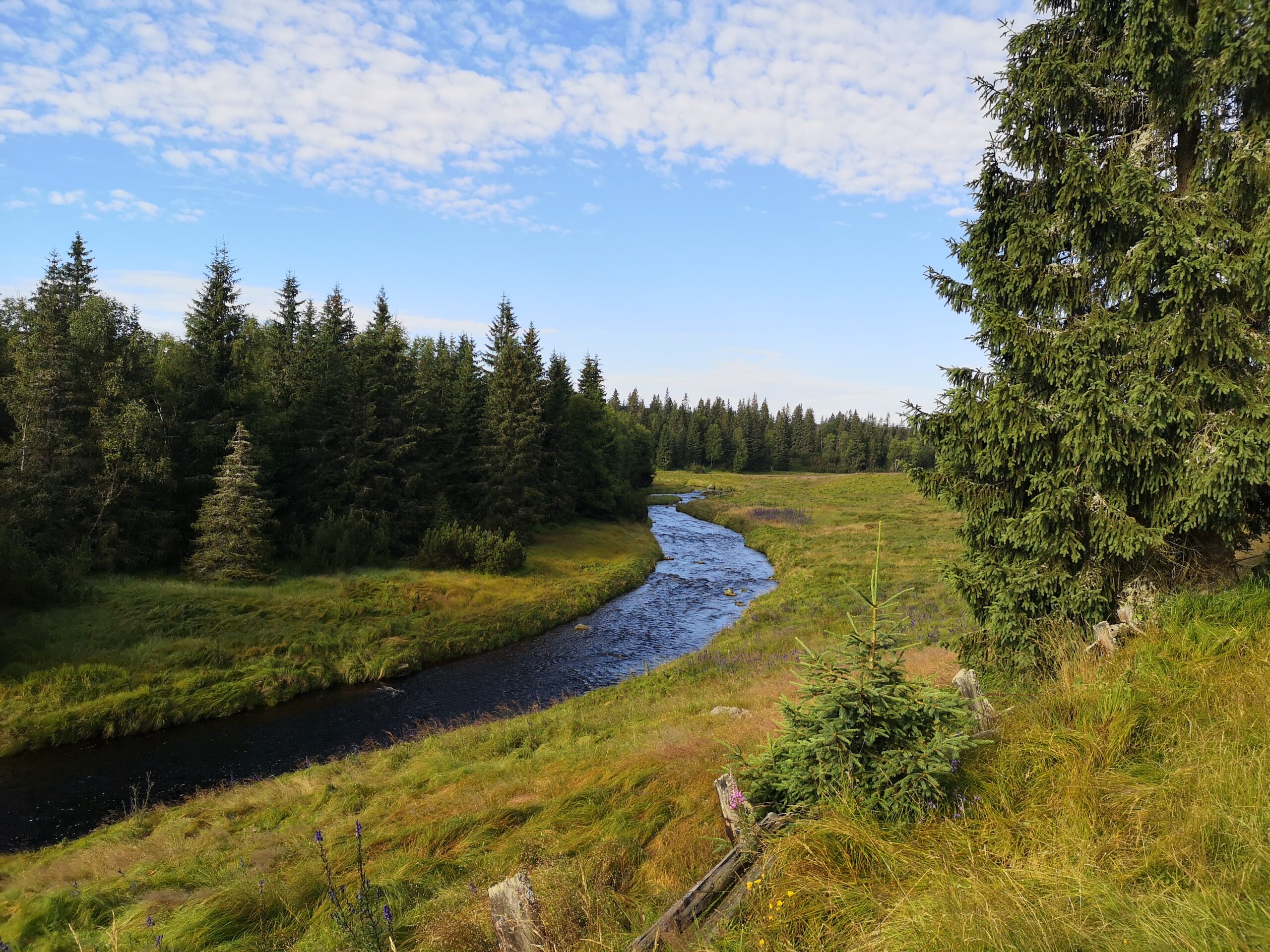 Šumavská nouzová nocoviště