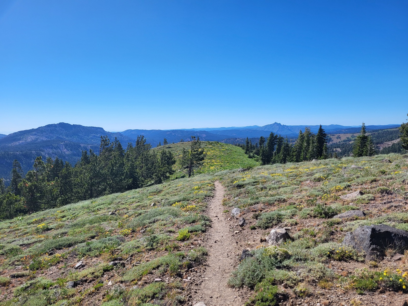PCT day 84
