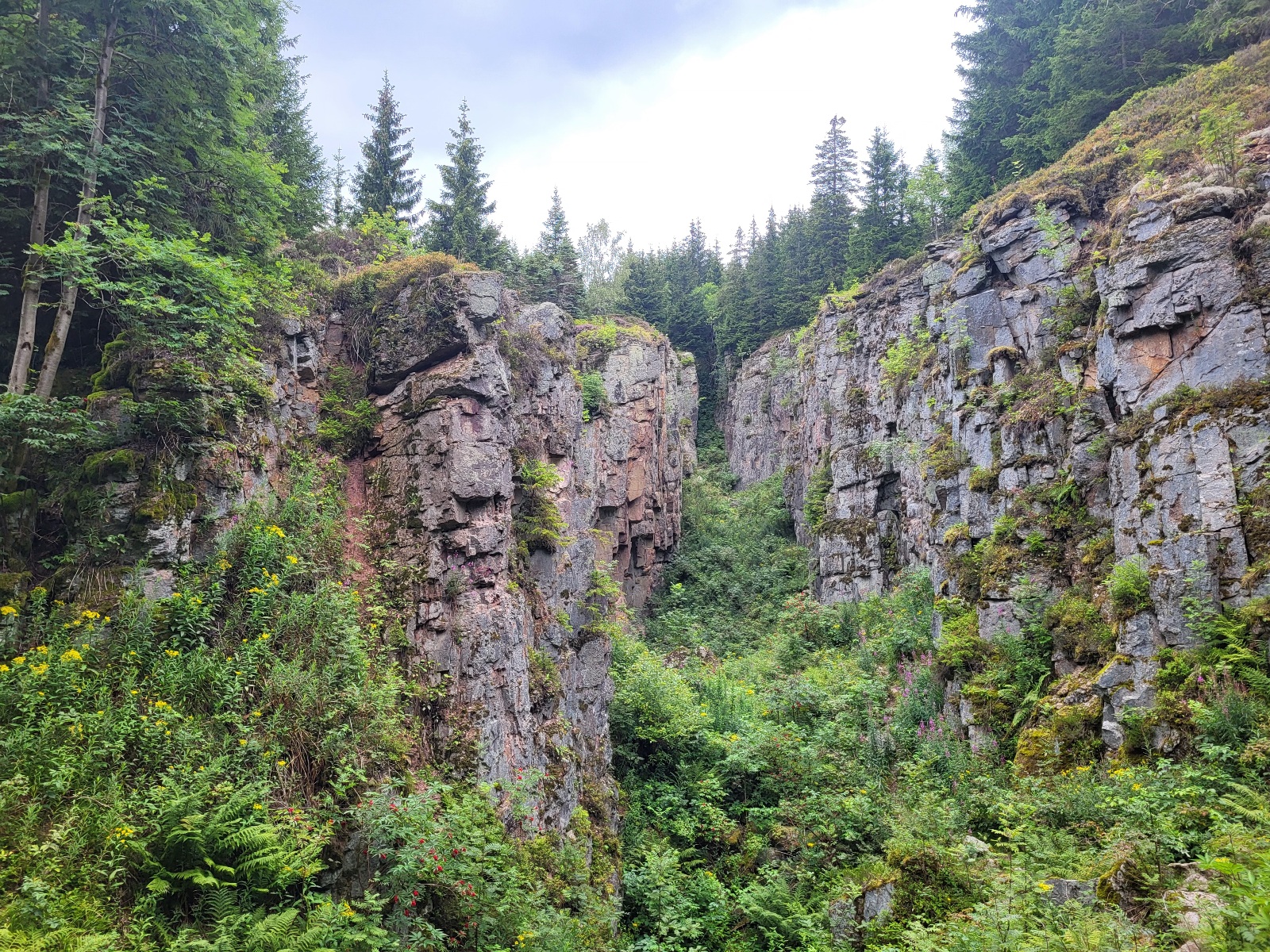 Severní stezka Kraslice -> Horní Blatná