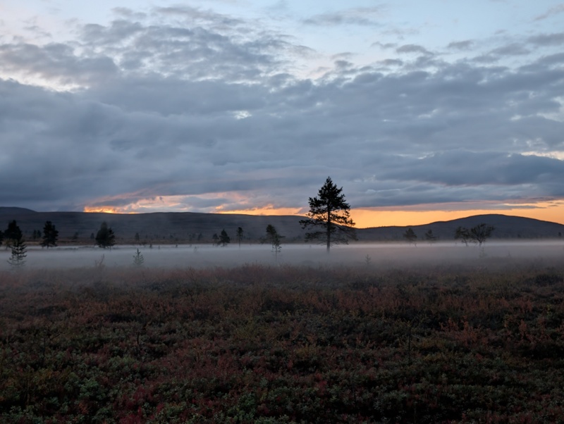 Pallas-Yllästunturin kansallispuisto