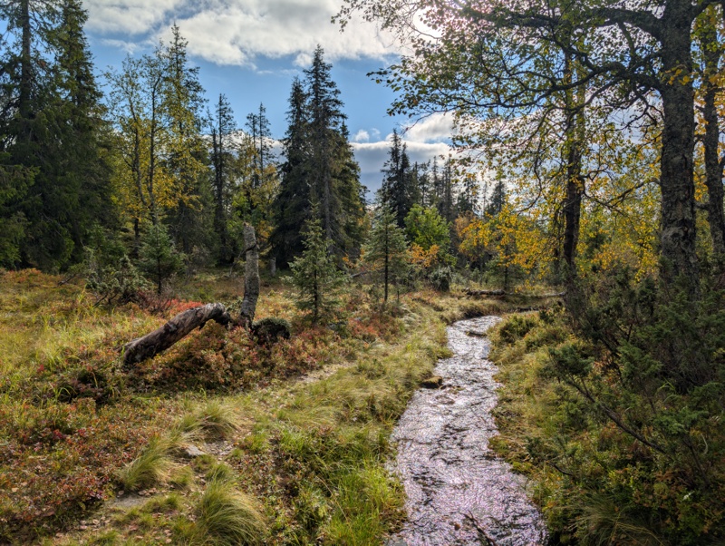 Pallas-Yllästunturin kansallispuisto day 5